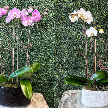 Monsoon Flowers