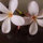 natalie_white88