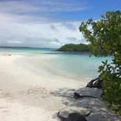 Heather MacLean's photo