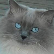 Byron Searle's photo