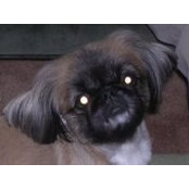Kathy Robello's photo