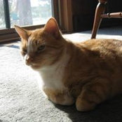Kate Cryeski's photo