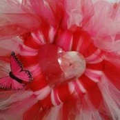 Foto von Barbara Montgomery