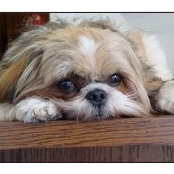 Glenna Cooley's photo