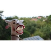 Guy Ruddys billede