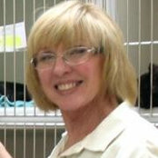Margery Petersen's photo