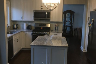 Kitchen - transitional kitchen idea in Chicago