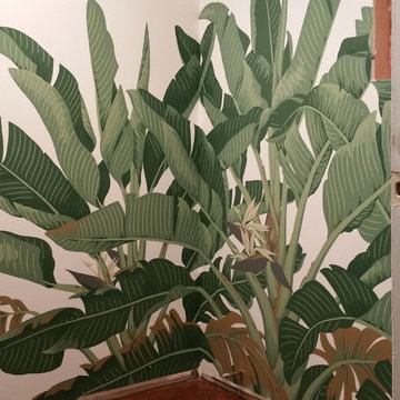 Giant Strelitzia