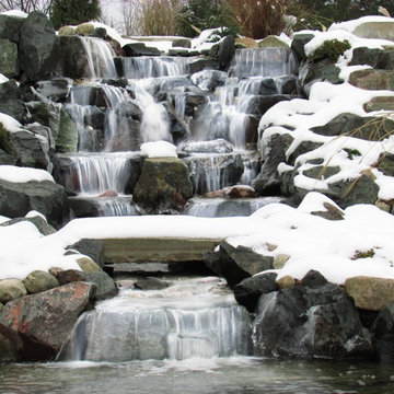 Water Feature - Pond