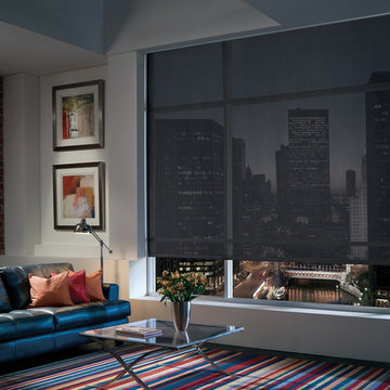 HunterDouglas DESIGNER SCREEN SHADES