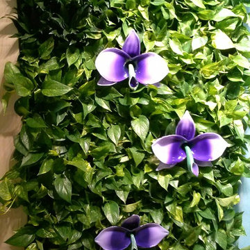 Living Wall