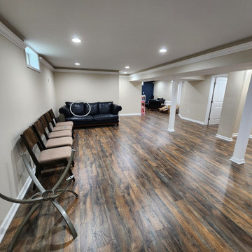 Basement Finish with Full bathroom addition and Office