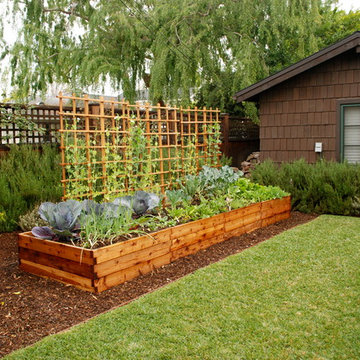 Farmscape Raised Beds
