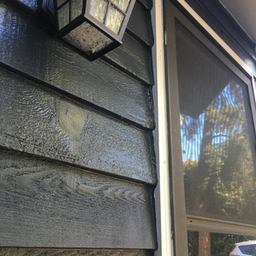 Exterior Painting Project in the Watervale subdivision of Martinez, GA