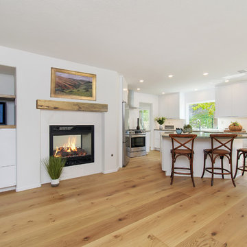 Modern Euro-style Home
