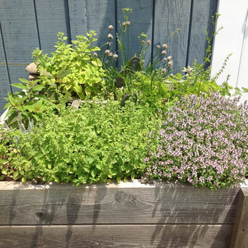 Vegetable & Herb Gardens