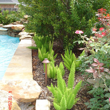 Landscape Ideas