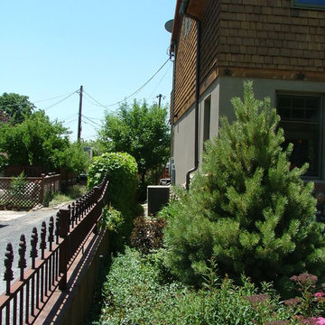 Water wise landscape