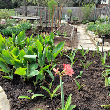Designing with Plants
