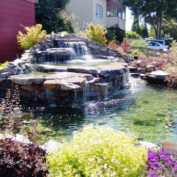 Arroyo Grande Pond