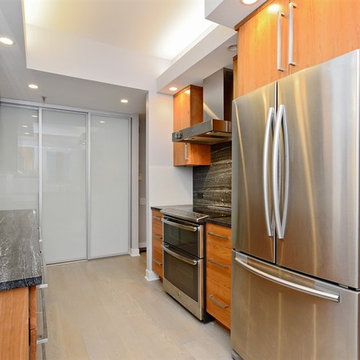 Streeterville Modern Condominium Renovation