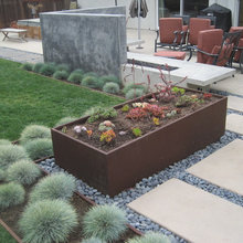 Travis - Landscaping Ideas