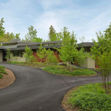 A Modernist Oasis