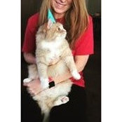 Kate Ward's photo