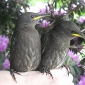 Mary Patrick's photo