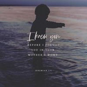 Oimer D Torres's photo