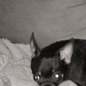Faye Coons's photo