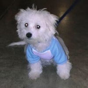 Nancy Stach's photo