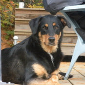 Foto von Allen Curadeau