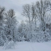 Foto de Debra Soderstrom Boggess