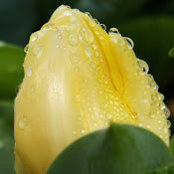 Dennis Wang's photo