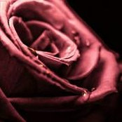 Amber Rana's photo