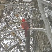 Tina Finke's photo