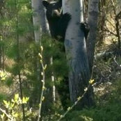 Lisa Rader Johnson's photo