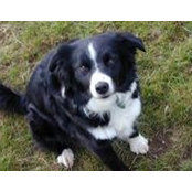 Claire Talltree's photo