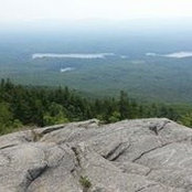 Nicole Ouellette-Brown's photo