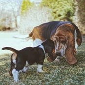Jen Marsich's photo