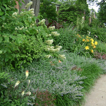 DYI Home Gardening - Dense Planting to Control Weeds