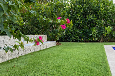 Design ideas for a medium sized contemporary back formal garden in Miami.