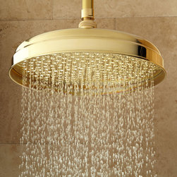 Lambert Rainfall Shower Head With Extended Arm - Showerheads And Body Sprays