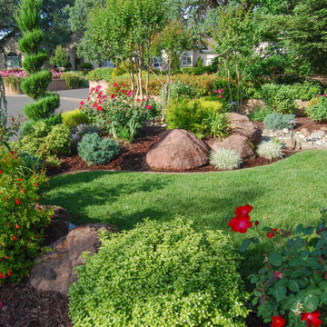 Roseville Front Yard