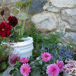 Flora Verdura - Products