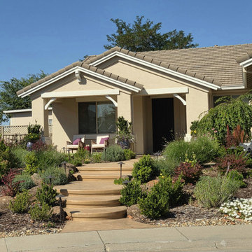 Stunning Curved Stamped Concrete Walkway