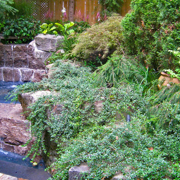 Planting and Maintenance