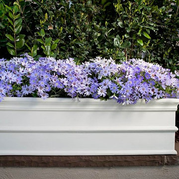 Classic Window Box
