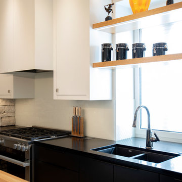 Modern Galley Kitchen